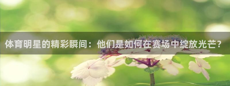 意昂5Kgame体育注册平台：体育明星的精彩瞬间：他们是如何在赛场中绽放光芒？