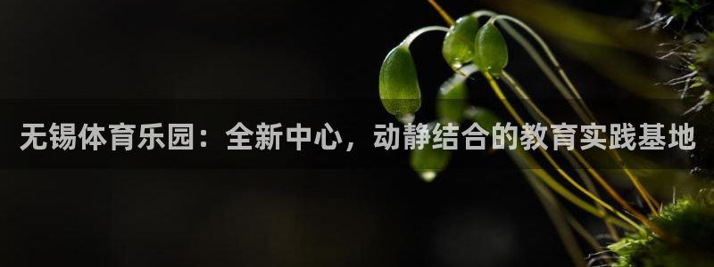 意昂5Kgame4平台：无锡体育乐园：全新中心，动静结合的教育实践基地