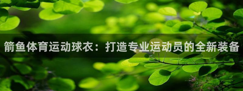 意昂5Kgame4官网：箭鱼体育运动球衣：打造专业运动员的全新装备