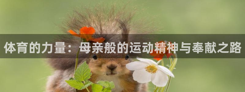 意昂5Kgame3官网：体育的力量：母亲般的运动精神与奉献之路