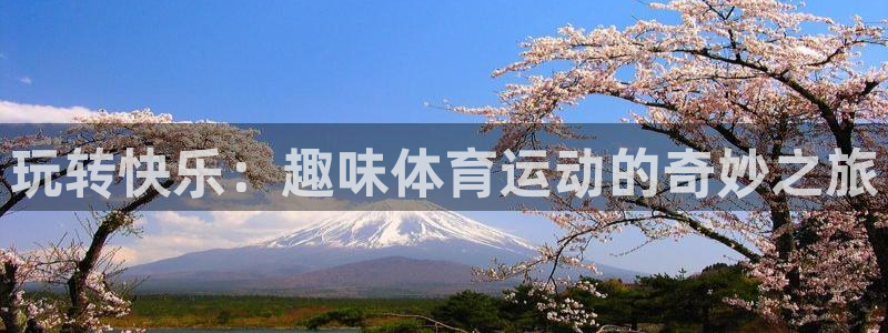 意昂5Kgame电子有限公司：玩转快乐：趣味体育运动的奇妙之旅