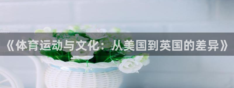 意昂5Kgame主管：《体育运动与文化：从美国到英国的差异》