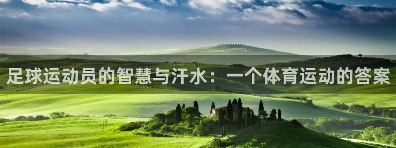 意昂5Kgame体育f开户：足球运动员的智慧与汗水：一个体育运动的答案