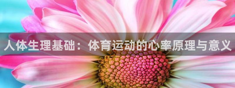 意昂5Kgame4开户：人体生理基础：体育运动的心率原理与意义