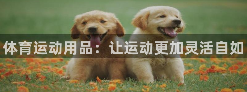 意昂5kgame注册：体育运动用品：让运动更加灵活自如