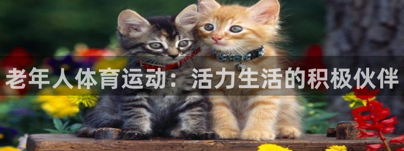 意昂5Kgame2官网：老年人体育运动：活力生活的积极伙伴