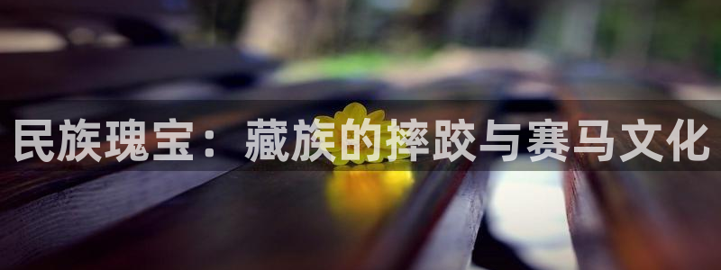 意昂5Kgame体育代理：民族瑰宝：藏族的摔跤与赛马文化