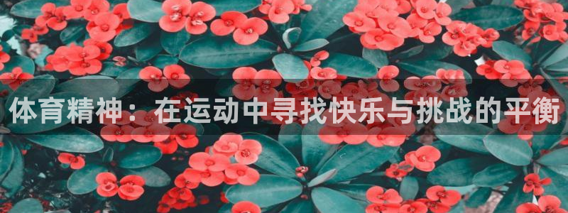 意昂5Kgame3平台注册：体育精神：在运动中寻找快乐与挑战的平衡