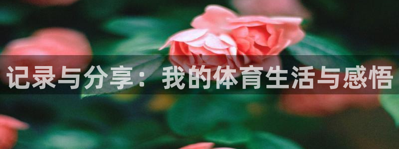 意昂5Kgame体育3：记录与分享：我的体育生活与感悟