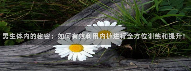 意昂5Kgame代理注册官网入口：男生体内的秘密：如何有效利用内裤进行全方位训练
