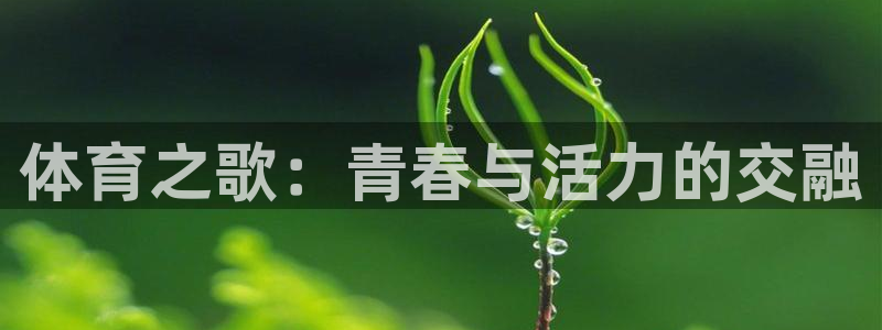 意昂5Kgame5注册：体育之歌：青春与活力的交融