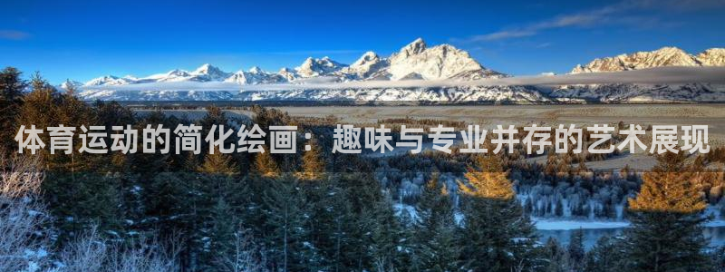 意昂5Kgame平台注册入口：体育运动的简化绘画：趣味与专业并存的艺术展现