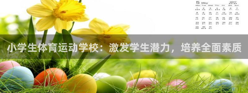 意昂5kgame注册：小学生体育运动学校：激发学生潜力，培养全面素质
