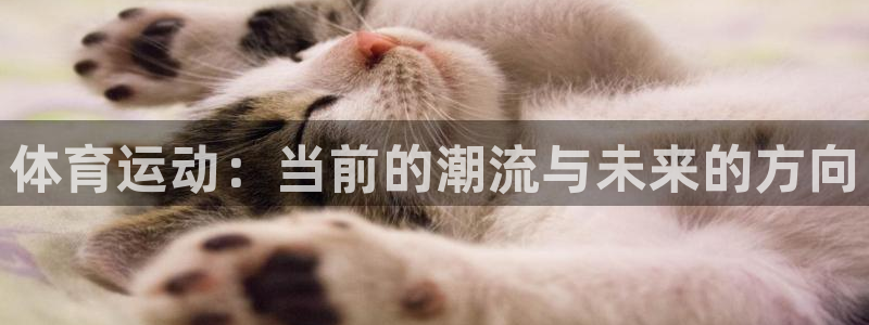 意昂5Kgame集团股票s：体育运动：当前的潮流与未来的方向