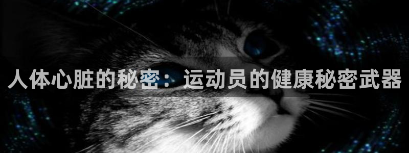 意昂5Kgame5注册：人体心脏的秘密：运动员的健康秘密武器