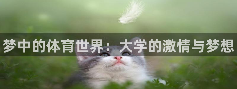 意昂5Kgame体育eon：梦中的体育世界：大学的激情与梦想