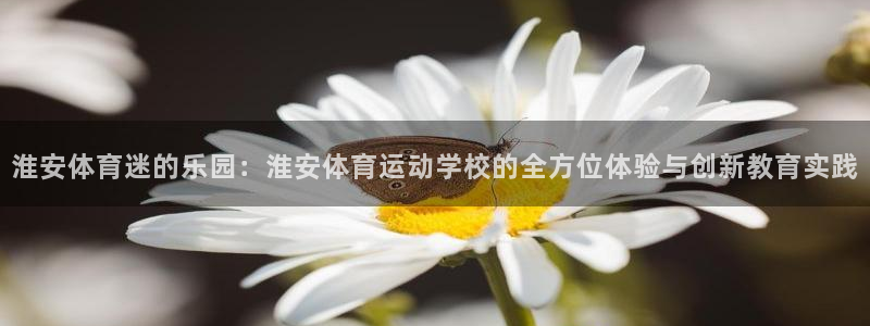 意昂5Kgame体育2：淮安体育迷的乐园：淮安体育运动学校的全方位体验与创新教育