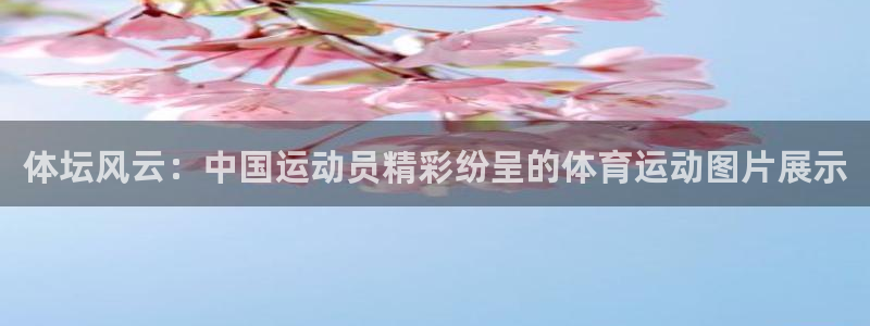 意昂5Kgame主管：体坛风云：中国运动员精彩纷呈的体育运动图片展示